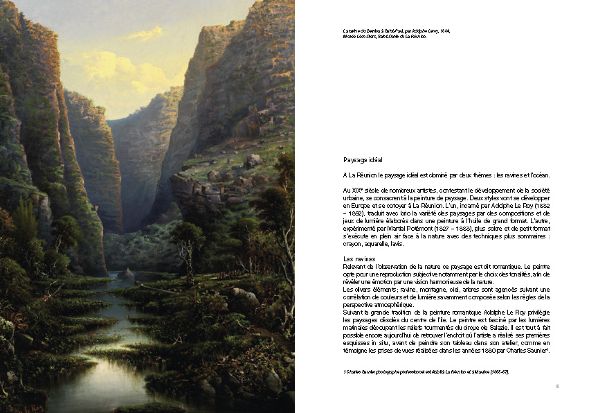 Art du paysage à La Réunion_Page_09